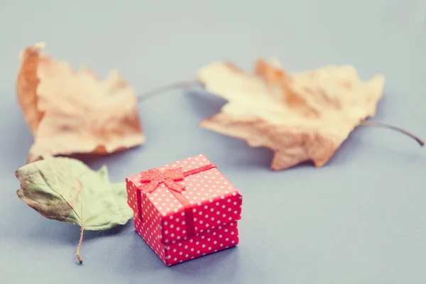 Caja de regalo y hojas de arce —  Fotos de Stock