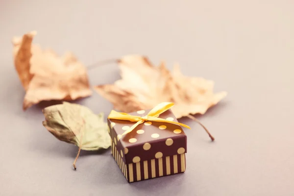 Подарочная коробка и кленовые листья — стоковое фото