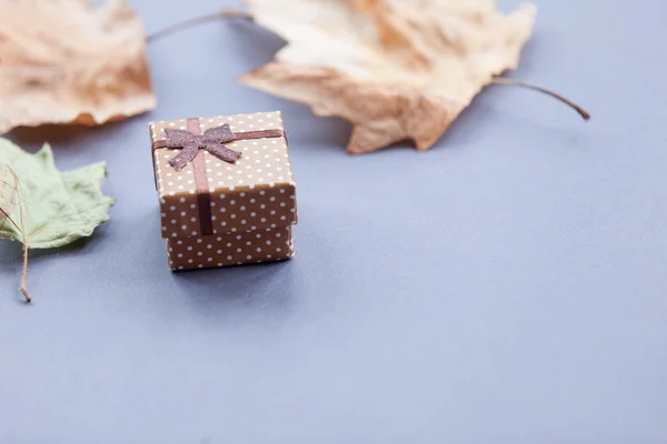 Caja de regalo y hojas de arce —  Fotos de Stock