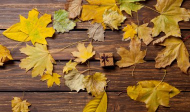 hediye kutusu ve yaprakları