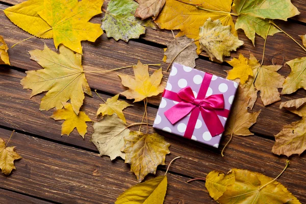 Coffret cadeau et feuilles — Photo