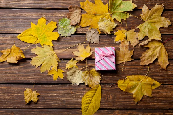 Caja de regalo y hojas — Foto de Stock