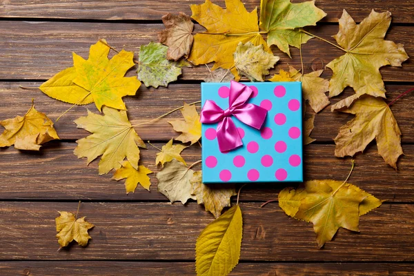 Caja de regalo y hojas —  Fotos de Stock