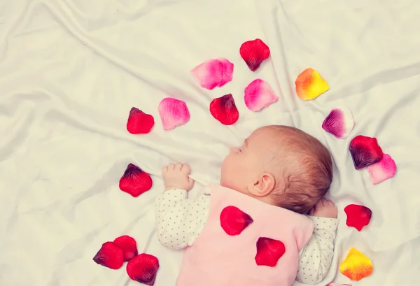 Pequeno bebê com pétalas de rosa — Fotografia de Stock