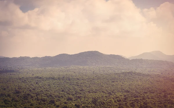 Sri Lanka bosque tropical — Foto de Stock
