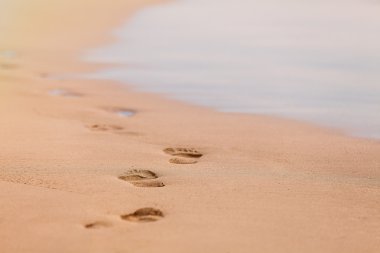 Kumda ayak izleri 
