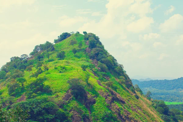 Sri Lanka bosque tropical — Foto de Stock