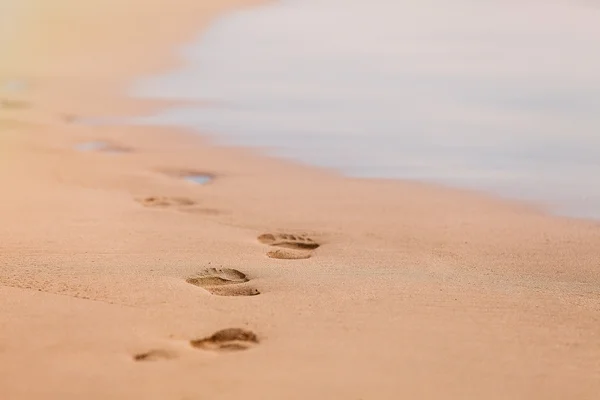 Footprints in the sand — Stock Photo, Image