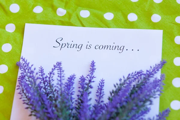 Paper with words Spring in coming — Stock Photo, Image