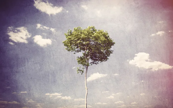 Einsamer Baum auf blauem Himmel Hintergrund. — Stockfoto