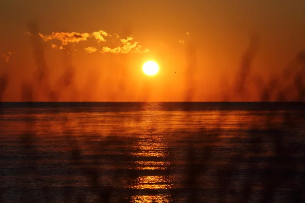 Nascer do sol sobre o Mar Negro — Fotografia de Stock