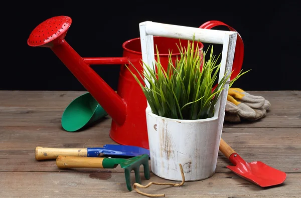 Některé zahradnické nástroje — Stock fotografie
