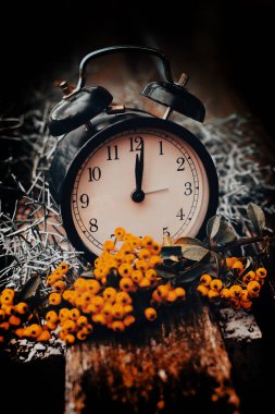 Midnight and the Pyracantha Günün sonunda, yılın başında