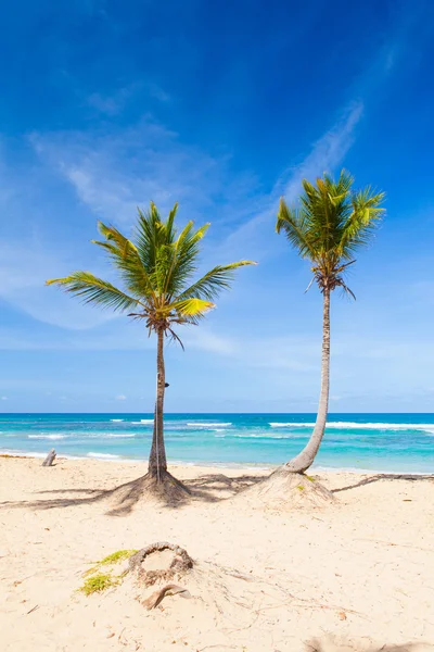 Paradiesischer Badeort — Stockfoto