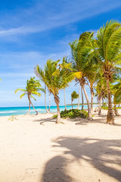 Paradise beach resort — Stock Photo, Image