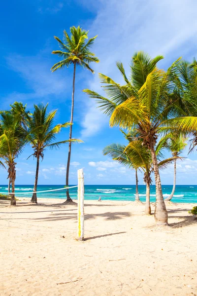 Paradise beach volleyball — Stock Photo, Image