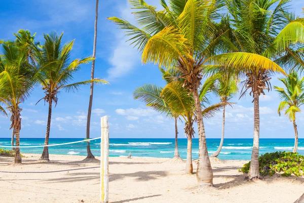 Paradise beach volleyball — Stock Photo, Image