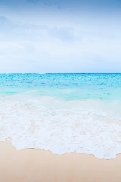 Praia do paraíso Imagem De Stock