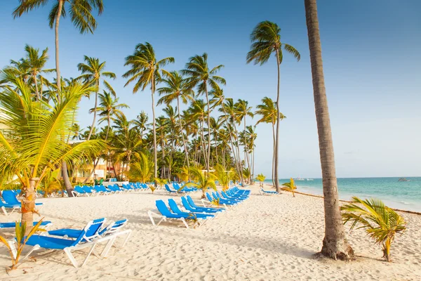 Paradise beach resort Stockbild