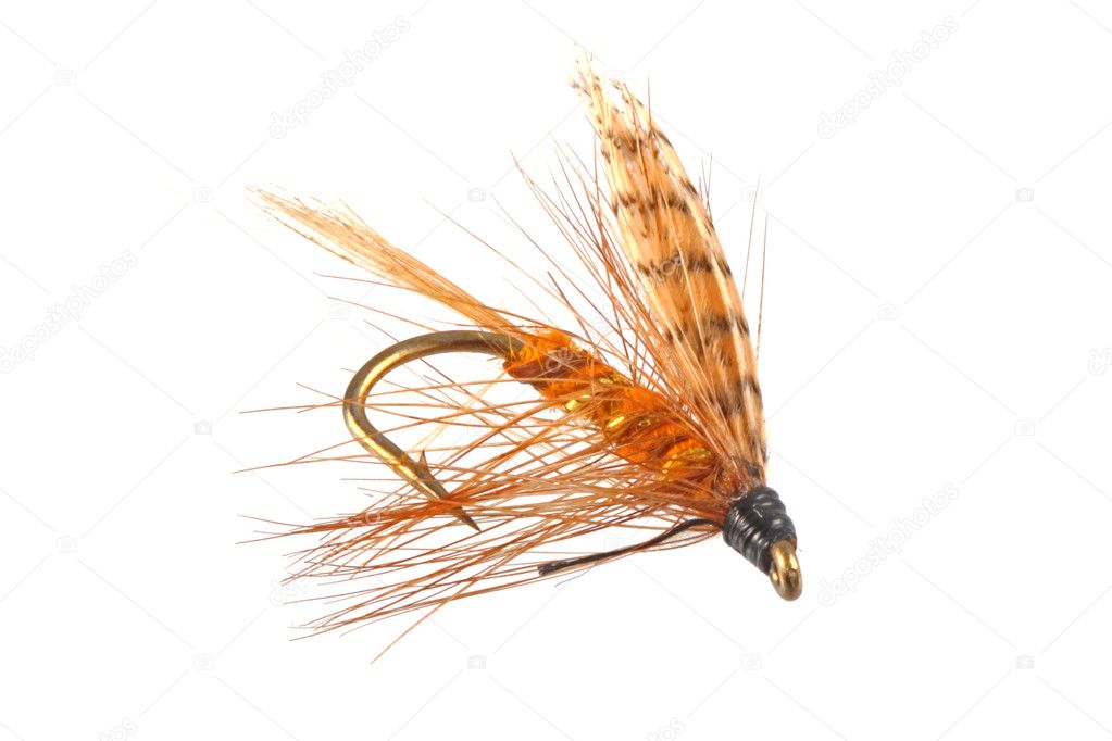 Flies used by fly  fishermen
