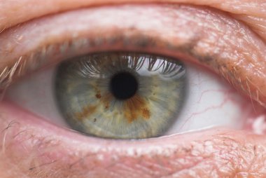 mans el yakut ile altın bir yüzük vermek