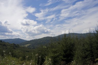 Doğanın manzarası 