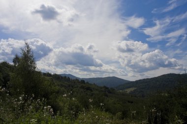 Doğanın manzarası 