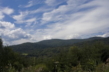 Doğanın manzarası 