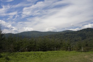 Doğanın manzarası 