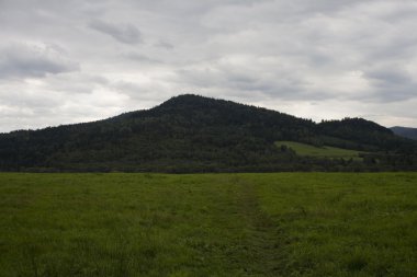 Doğanın manzarası 