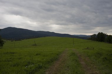 Doğanın manzarası 