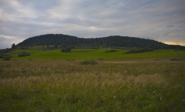 mavi bulutlu gökyüzü altında yeşil çim alan manzara