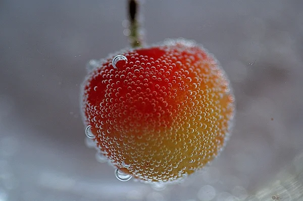 Cerise Bulles Sur Blanc — Photo