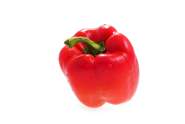 One Whole Pepper White — Stock Photo, Image