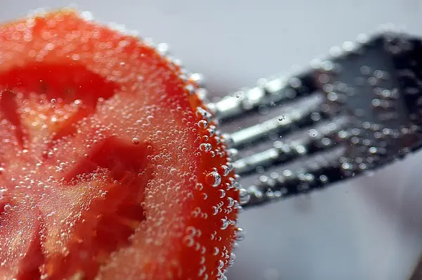 Dieta Muleta Comer Tenedor Gris Mineral Naturaleza Planta Punta Rojo — Foto de Stock