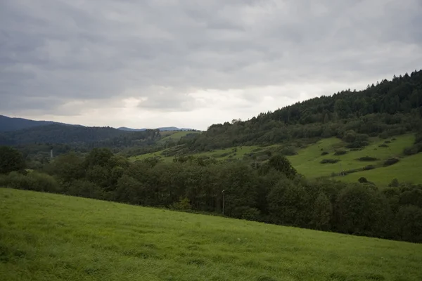 Doğanın manzarası 