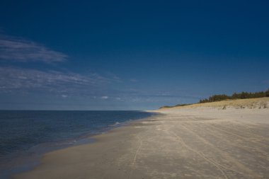 Deniz yaz mavi manzara Baltık Denizi Polonya
