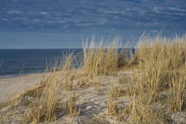 Deniz yaz mavi manzara Baltık Denizi Polonya