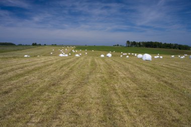 manzara whit mavi gökyüzü ve green hill Polonya