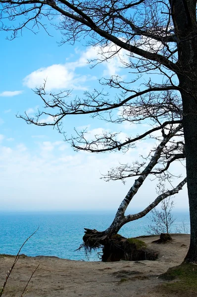 Blaue Landschaft Ostsee Tapete Postkarren Wasser — Stockfoto