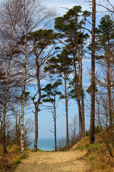Blaue Landschaft Ostsee Tapete Postkarren Wasser — Stockfoto