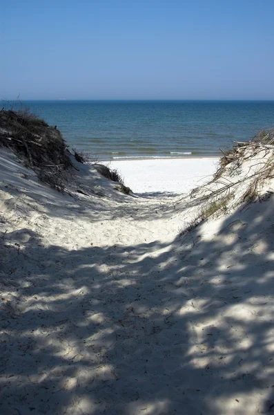 Mavi manzara Baltık Denizi duvar kağıdı postcart su