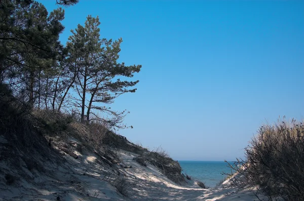 Blue Landscape Baltic Sea Wallpaper Postcart Water — Stock Photo, Image