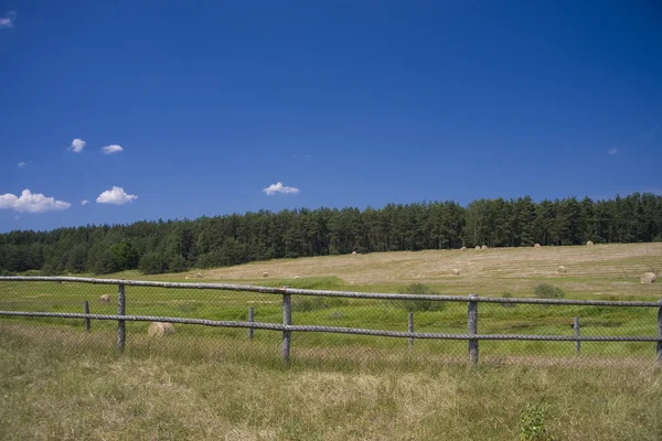 Krajobraz Odrobina Niebieski Niebo Zielone Wzgórze Polsce — Zdjęcie stockowe