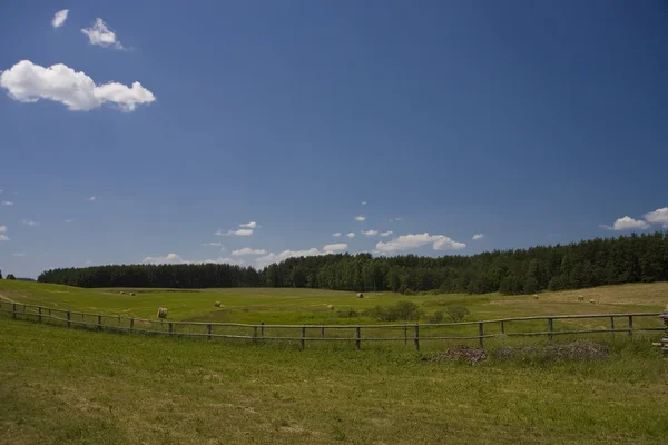 Krajobraz Odrobina Niebieski Niebo Zielone Wzgórze Polsce — Zdjęcie stockowe