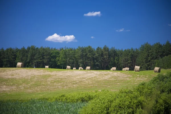 manzara whit mavi gökyüzü ve green hill Polonya