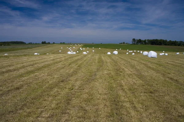 manzara whit mavi gökyüzü ve green hill Polonya