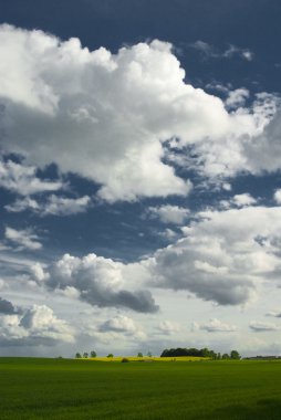 manzara whit mavi gökyüzü ve green hill Polonya