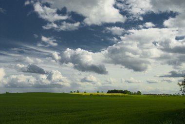 manzara whit mavi gökyüzü ve green hill Polonya