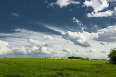 manzara whit mavi gökyüzü ve green hill Polonya